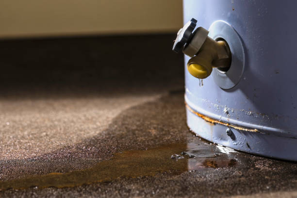 Reliable Turtle Creek, PA Water damage restoration Solutions