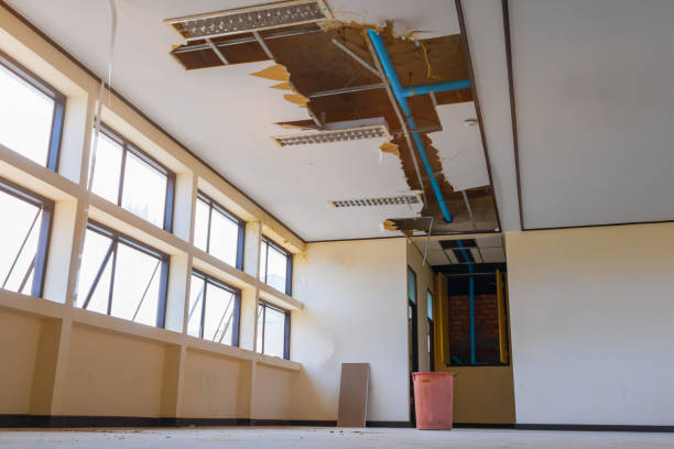 Best Ceiling water damage repair  in Turtle Creek, PA