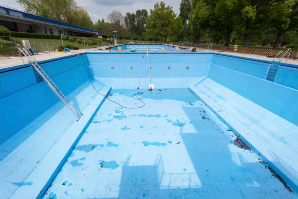 Best Water damage cleanup near me  in Turtle Creek, PA