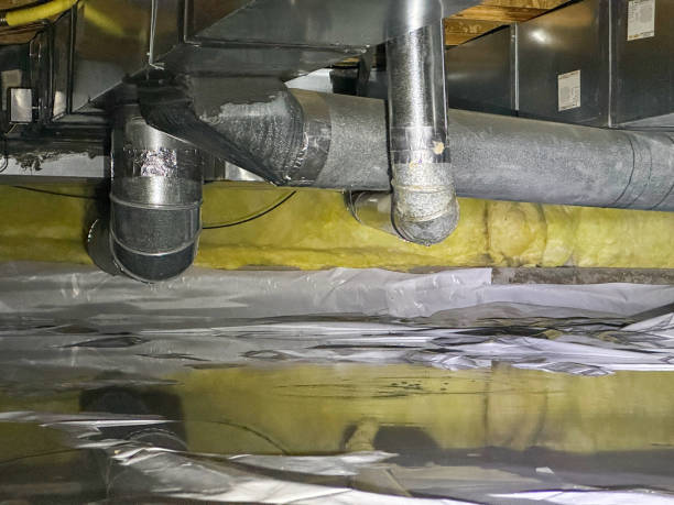 Best Flood restoration services  in Turtle Creek, PA