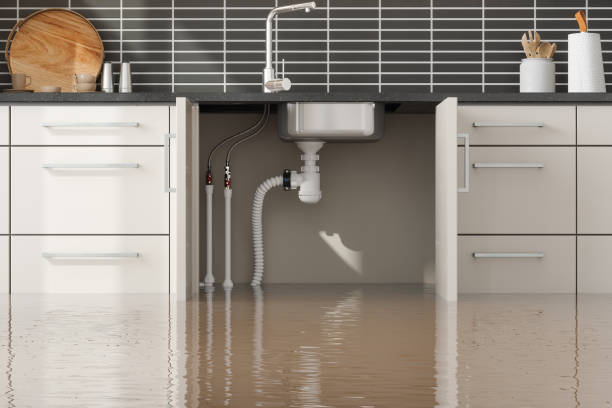 Best Flood damage cleanup  in Turtle Creek, PA