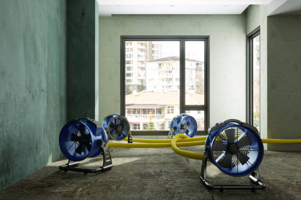 Best Fire Damage Restoration  in Turtle Creek, PA